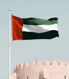 Custom Flags including the United Arab Emirates national flag on a premium outdoor flag pole